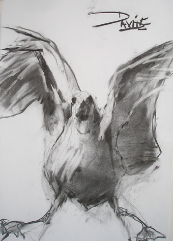 art gallery devon